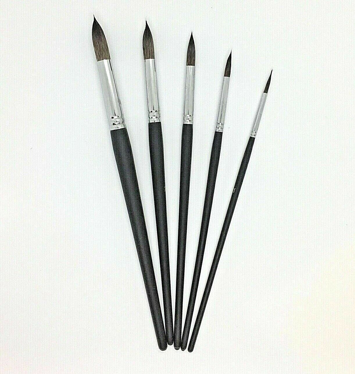 XDT Watercolor Mop Round Tip 5 Pc Set Artist Paint Brushes Russian Blue Squirrel