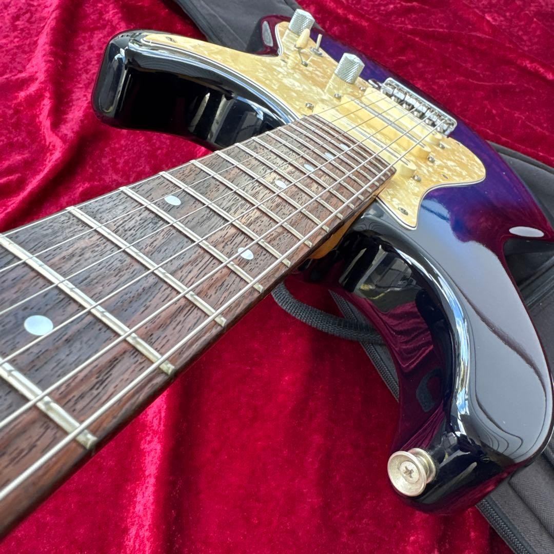 FERNANDES Japan APG-400 Single Ham Case Safe Packing!