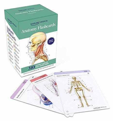 Anatomy Flashcards: 300 Flashcards with - Cards, by Tillotson Joanne - Very Good