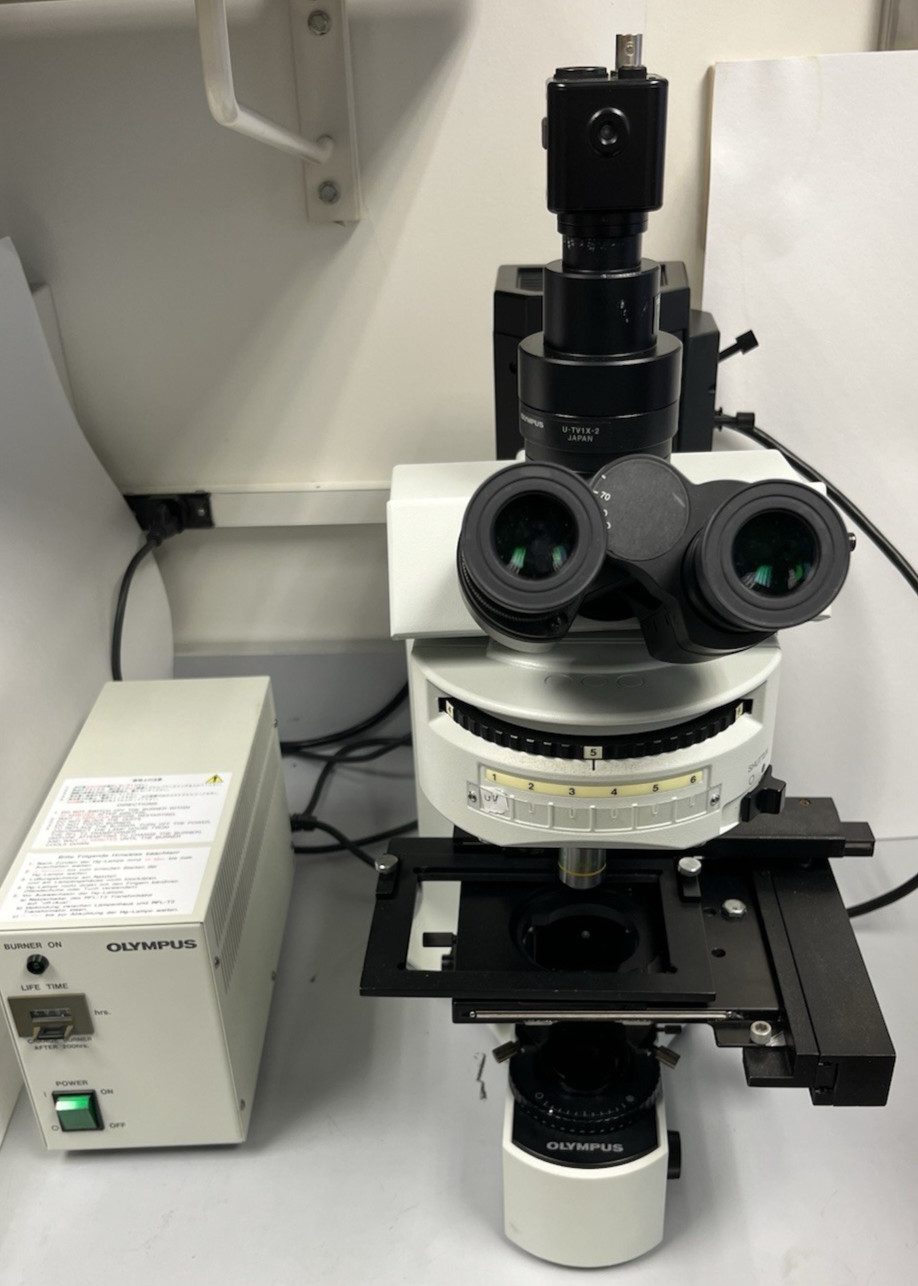 Olympus BX41 Fluorescence Microscope w/ U-LH100HG Light & U-TV1X-2 Camera