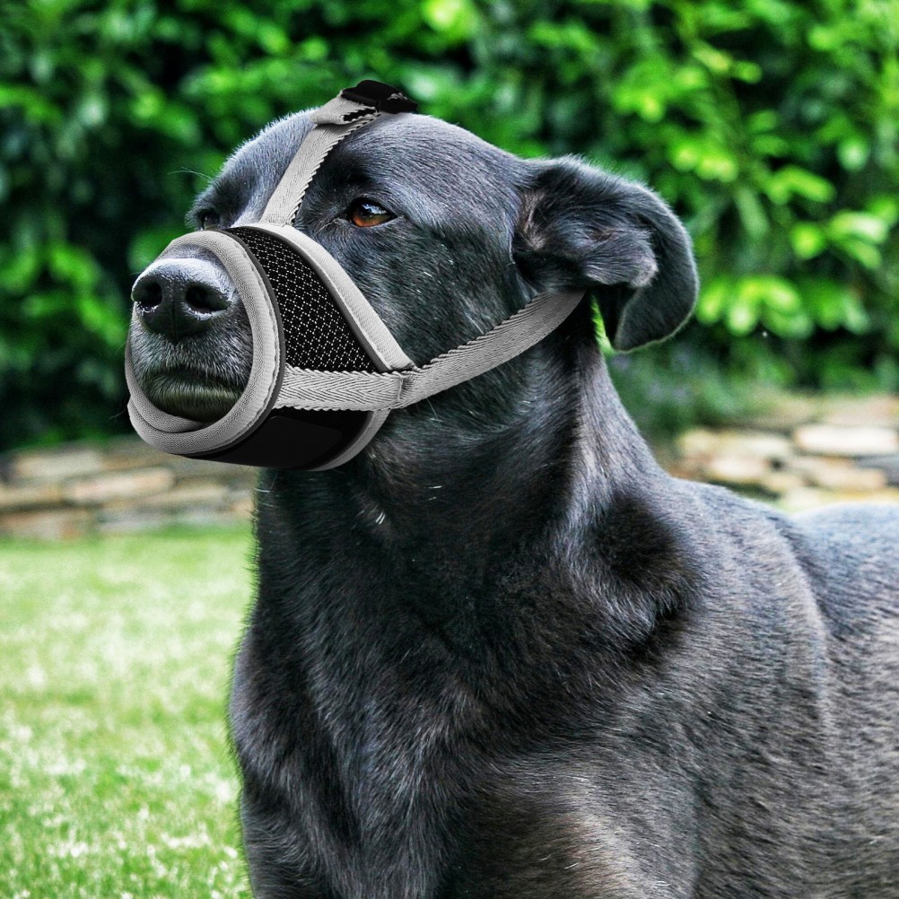 Dog Muzzles for Large Dogs Chihuahua Biting Mouth Guard Pet Cover Bark Stopper