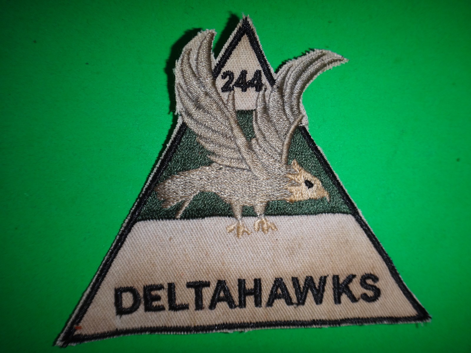 US 244th AVIATION COMPANY Aerial Surveillance DELTA HAWKS From Vietnam War Era