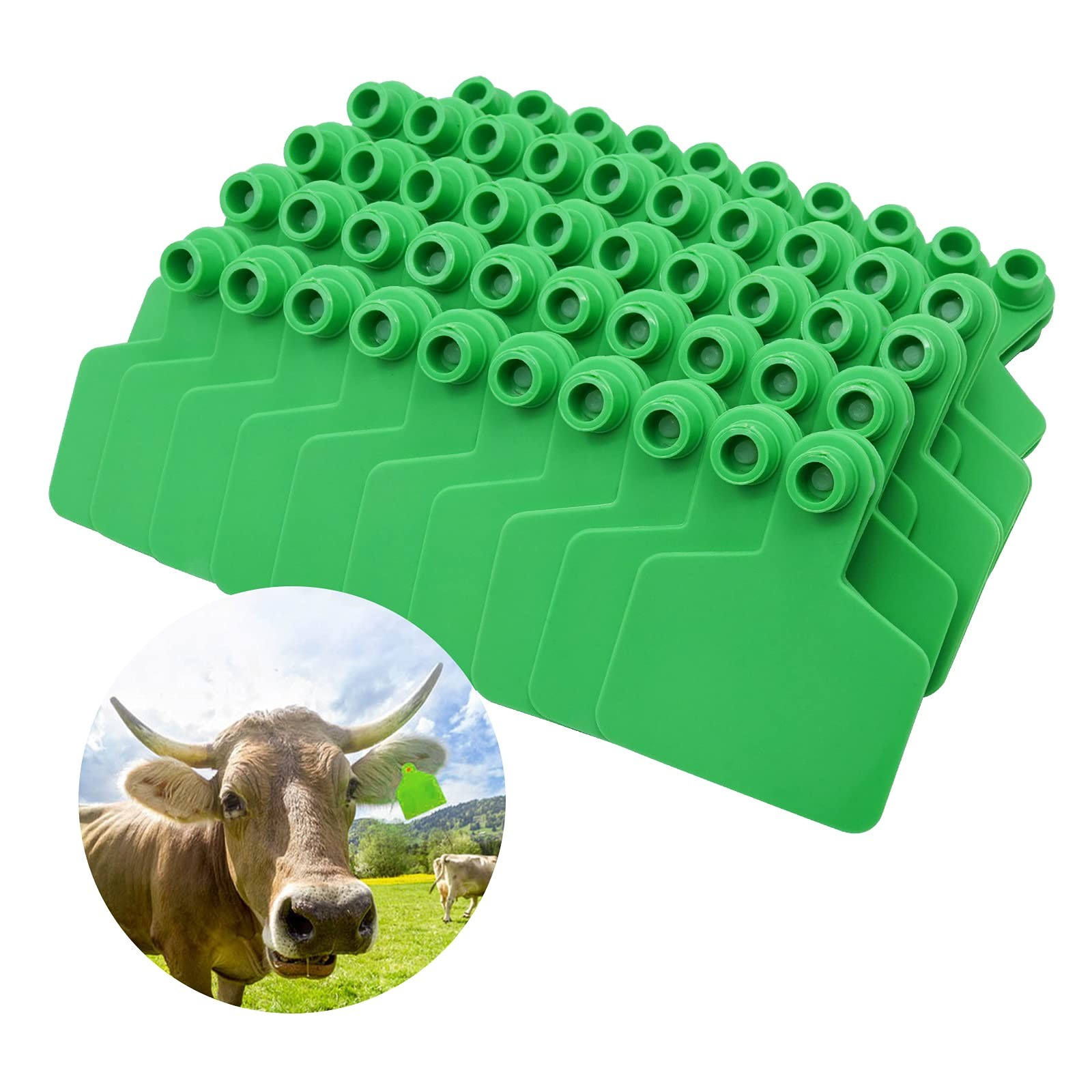 Blank Ear Tags Livestock Ear Tags for Cattle Goats Sheep Pigs Hogs Cows Cattl...