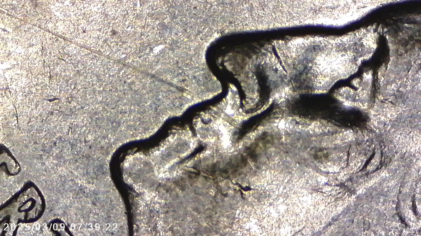 2007 D Washington State Quarter Circulated. ERROR line going in george face