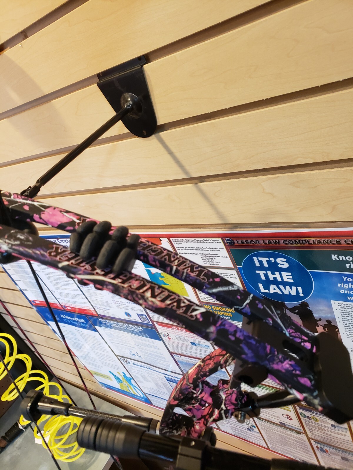Winchester Compound Bow (pink) 60-70 lb