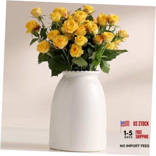 White Flower Vase- Ceramic Vase for Flowers, Modern Vases for White-8.5inch