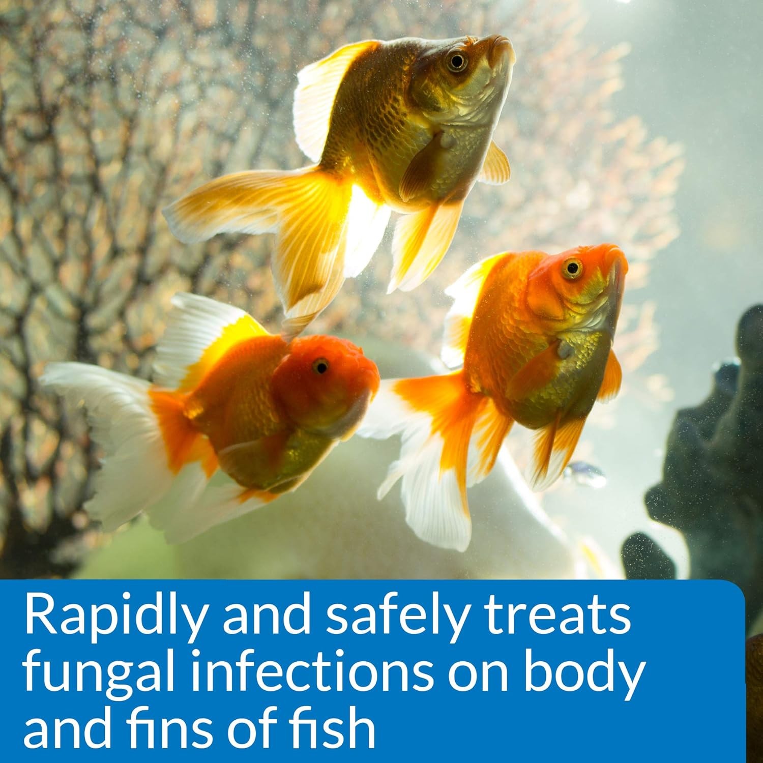 Aquarium Antifungal Fish Treatment Solution