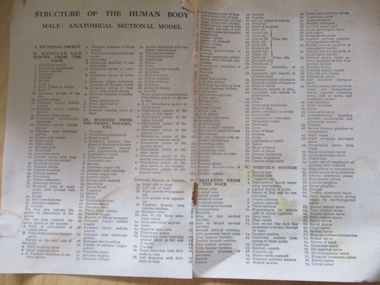 Vintage Anatomical Sectional Models Flip Charts Mankins