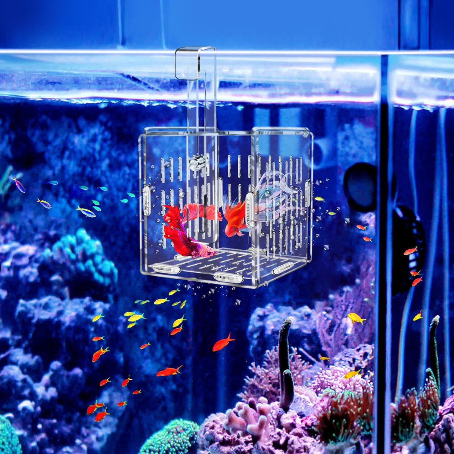 Breeder Box for Fish Tank, Fish Breeder Box for Aquarium, Acrylic Fish Isolation