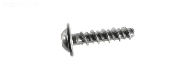 Screw