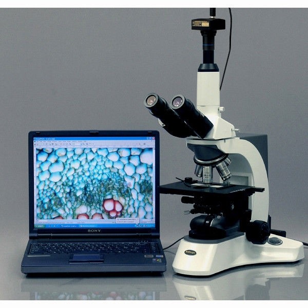 AmScope 3MP USB3.0 Fluorescence Digital Camera