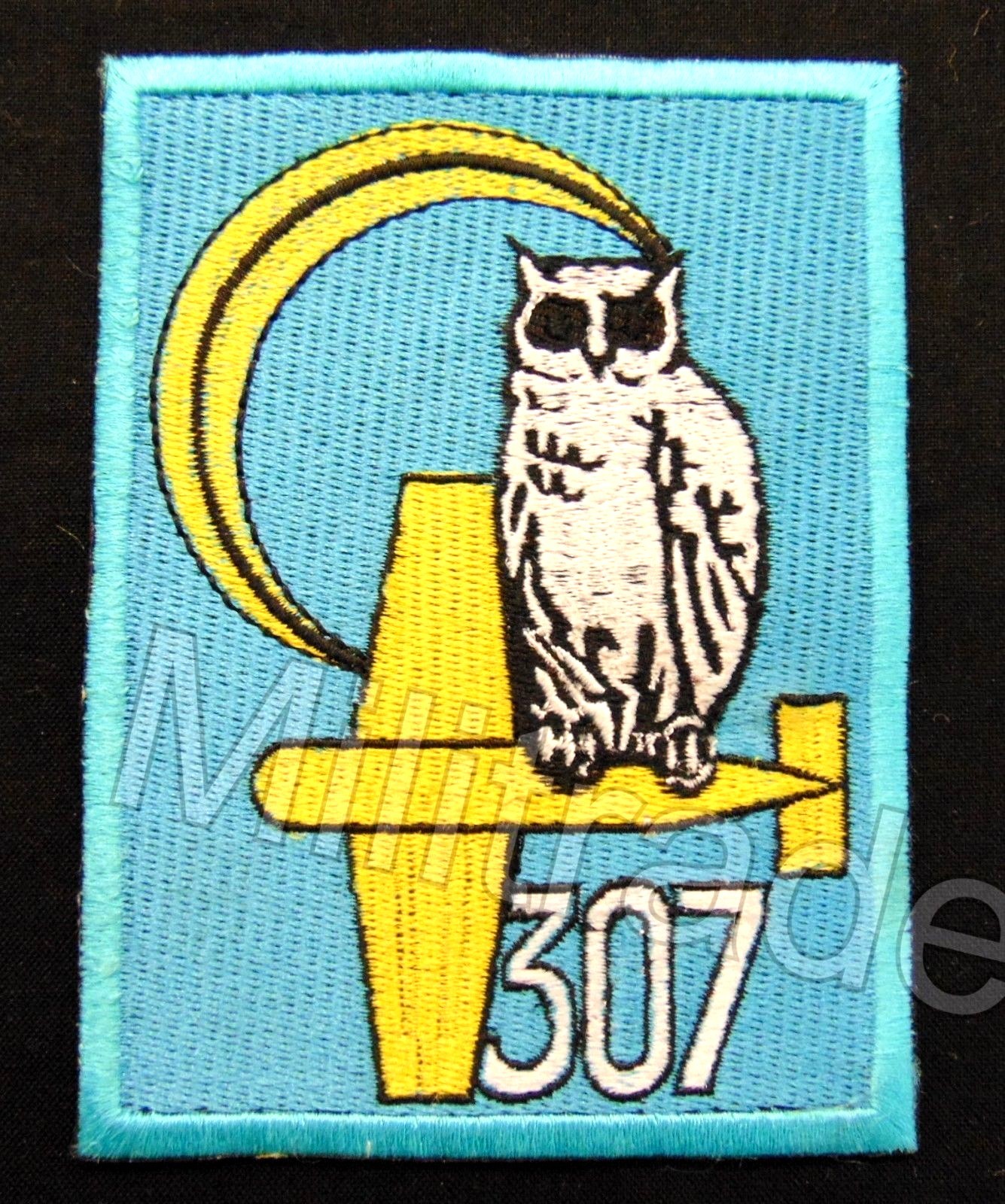 Poland Polish Air Force 307th Fighter Squadron Patch