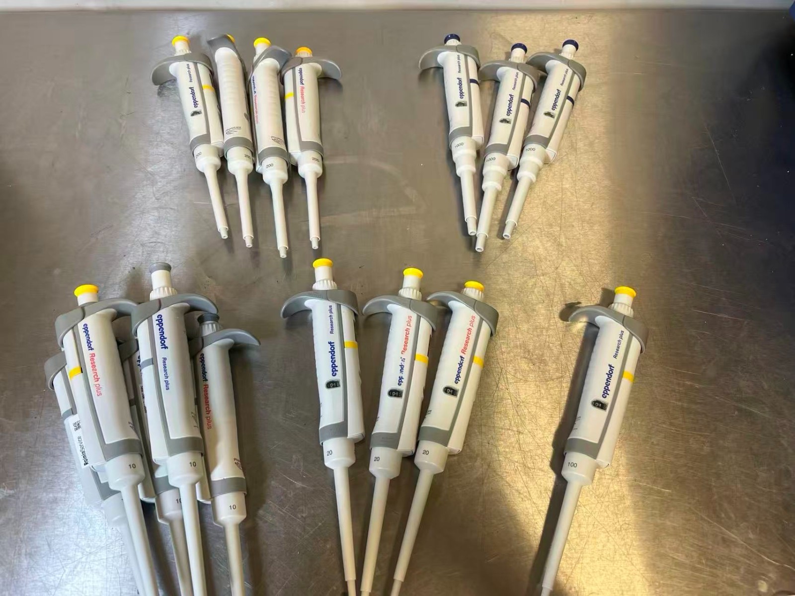 Eppendorf Research Plus single channel Pipette – Choose Size