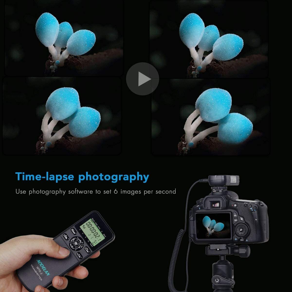 Wireless Intervalometer HDR Remote Control for Nikon D7500 D750 D7200 D6 D5 P950
