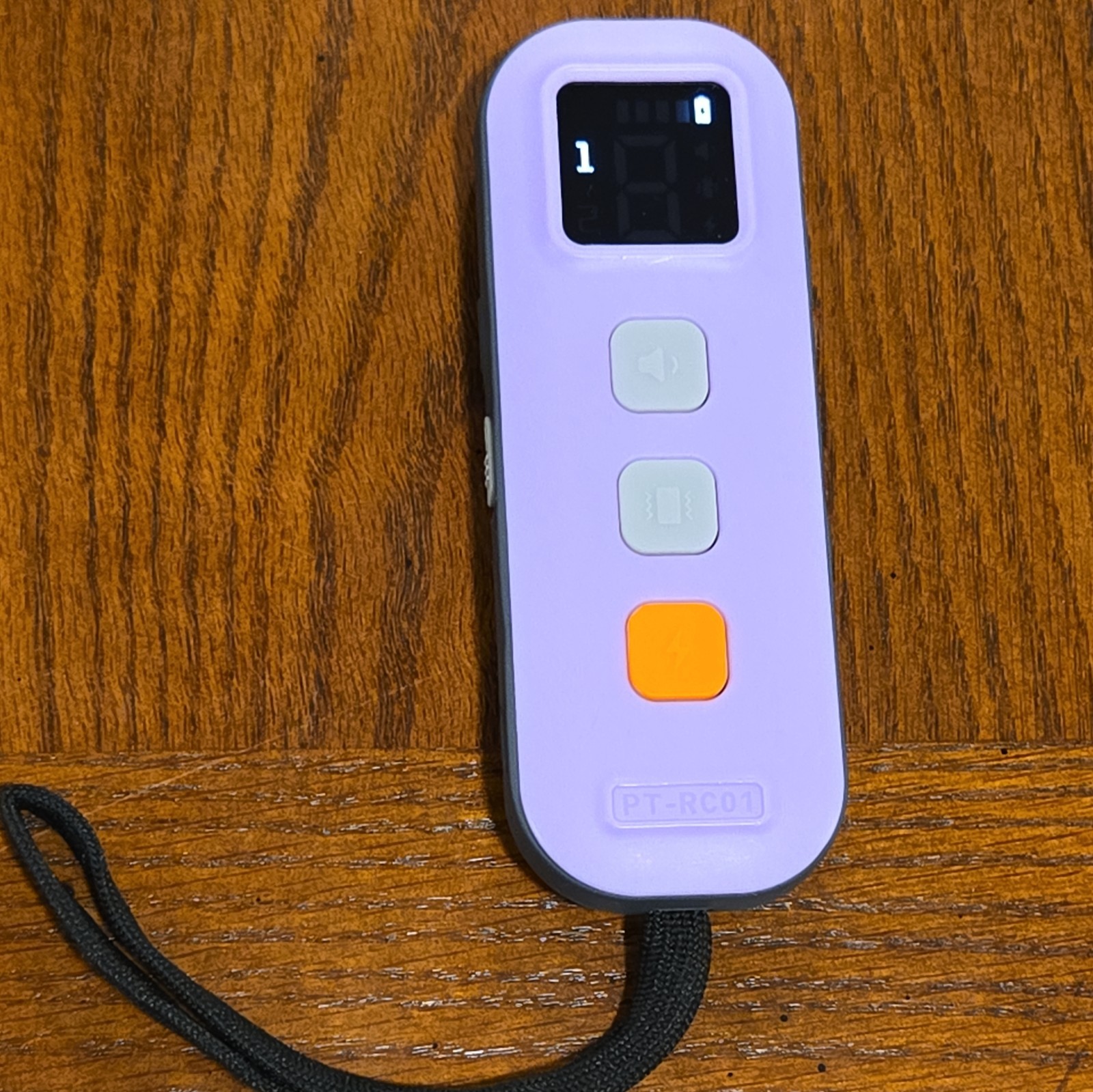 Pettoria PT-RC01 Training Collar Replacement Remote Control *REMOTE ONLY*