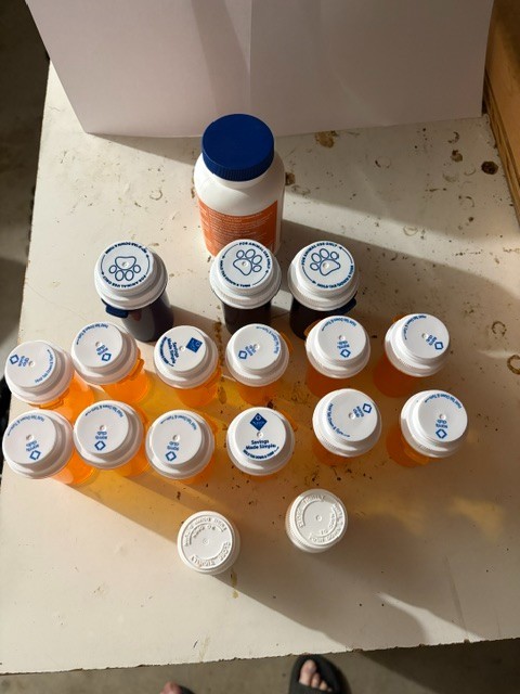 Empty Pill Bottles With Child Proof Lids Lot of 18 Used Excellent Condition