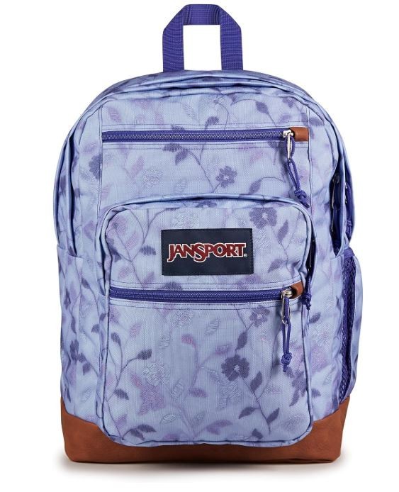 JanSport Cool Backpack with 15-inch Laptop Sleeve Lines & Vines