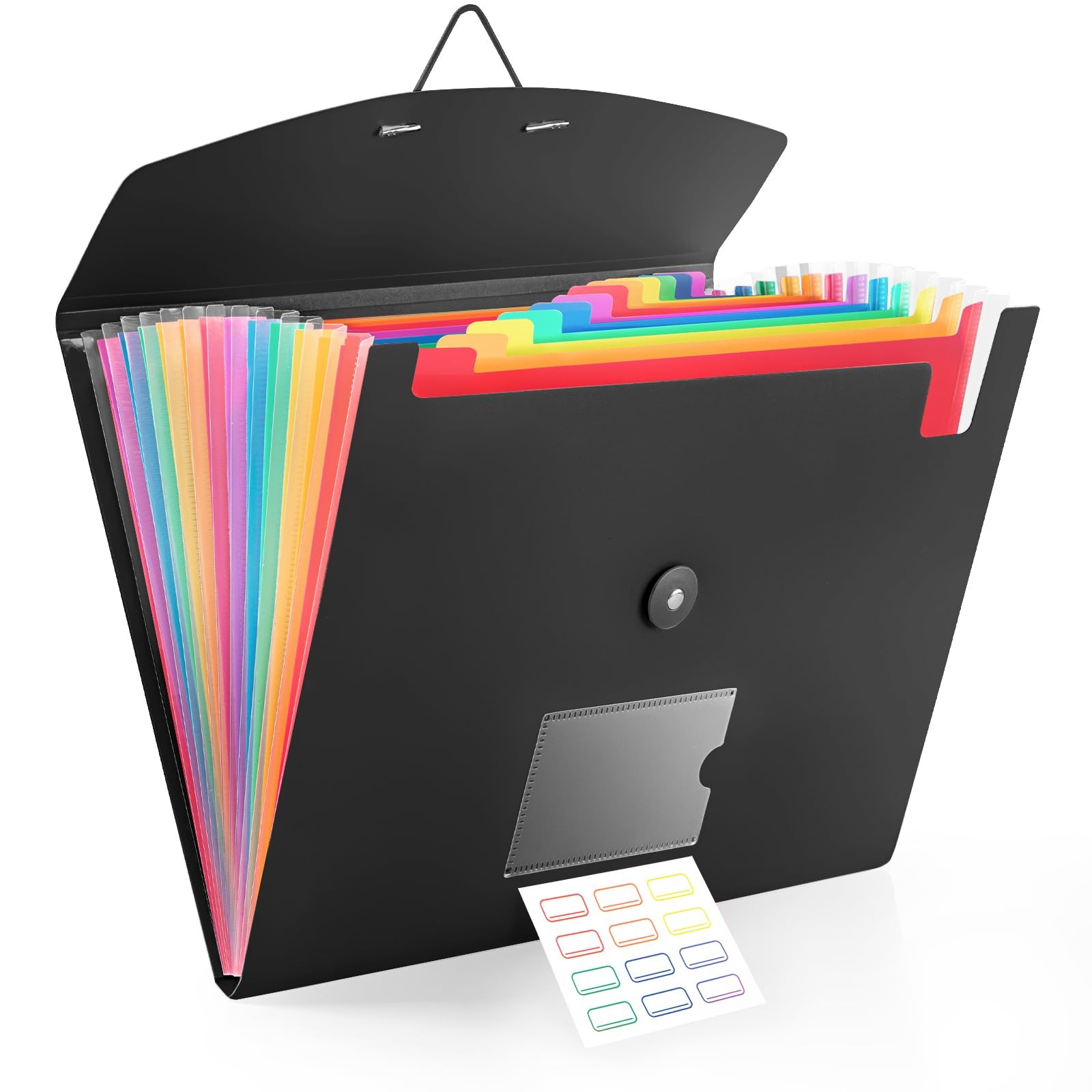 13 Pocket Accordion File Organizer with Elastic Closure, 13 x 9.6 in, Black