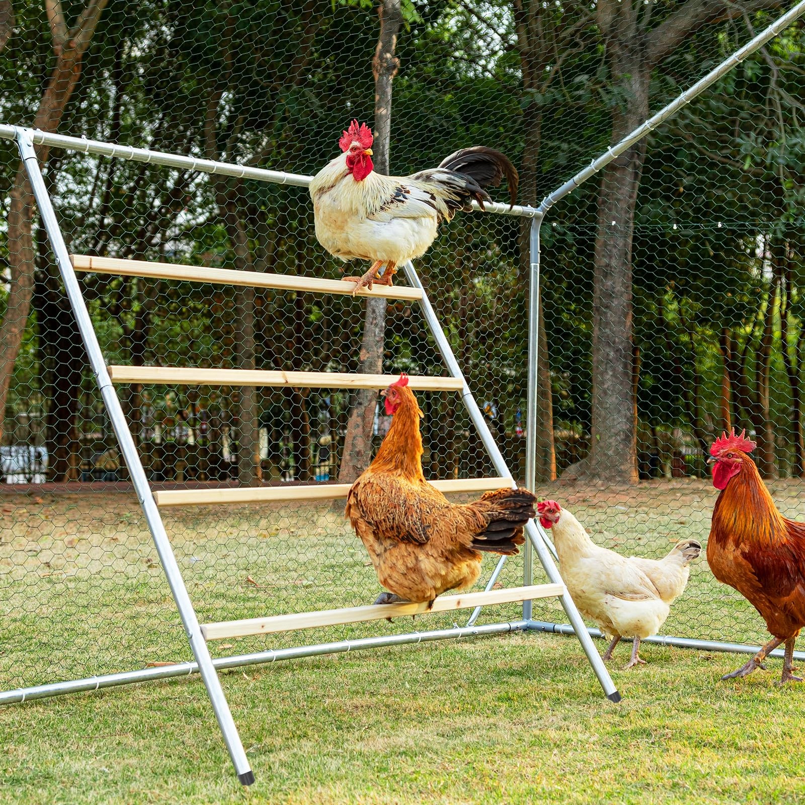 Square Chicken Perch Roosting Bar Wood Metal 55 x 40 Coop Backyard Poultry