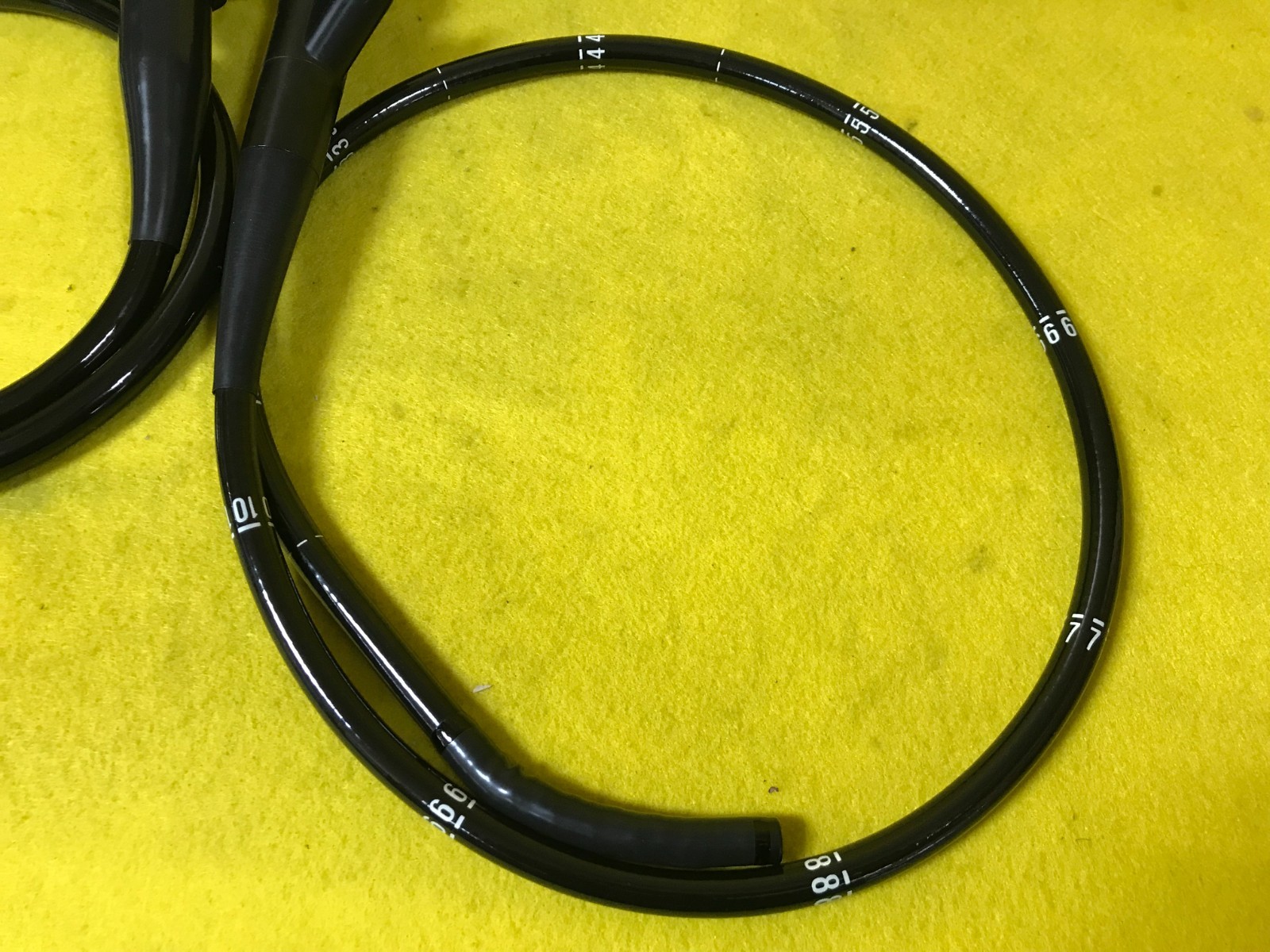 Pentax EG-3431 Gastroscope Endoscope Endoscopy (4311-s9)