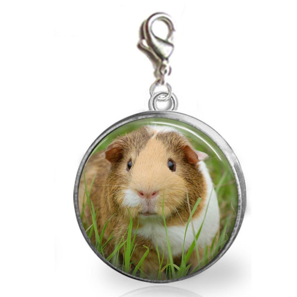 Pet Guinea Pig Glass Top 20mm Clip On Dangle Charm Handcrafted Dangle Charm Gift
