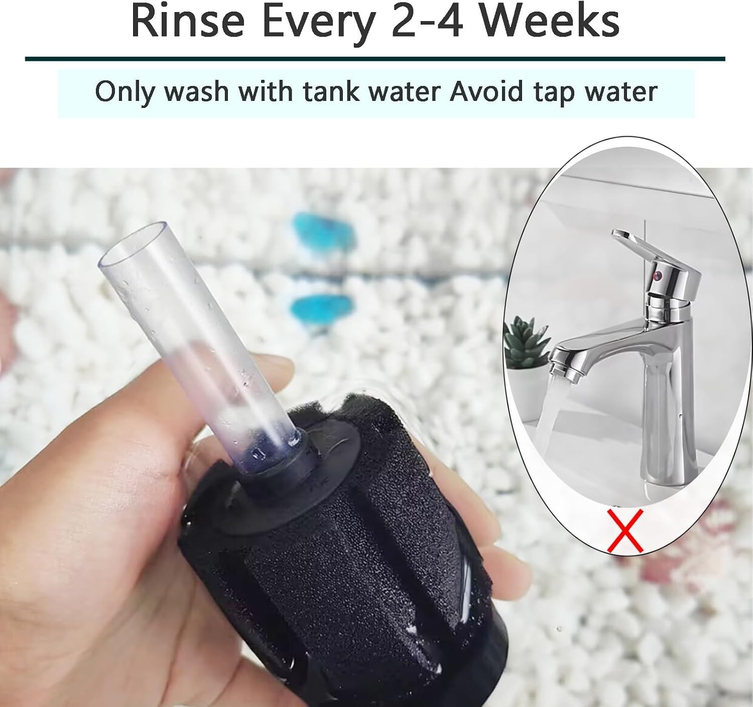 Safe Sponge Filter for Betta & Dwarf Cichlids - Ideal for Small Aquariums