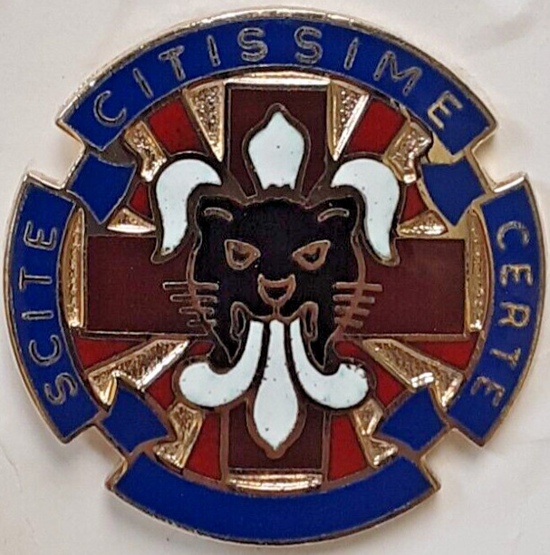 US Army 13th Combat Support Hospital Crest 'Scite Citissime Certe' Pin DUI VTG