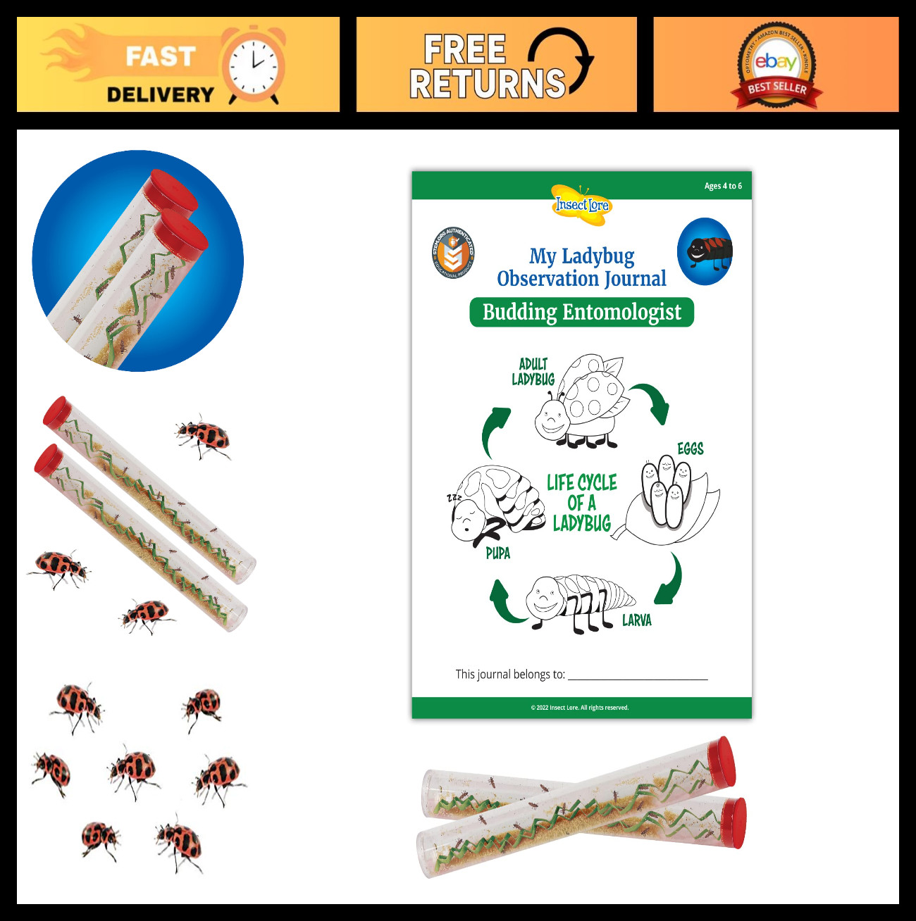 Ladybug Larvae Kit - 2 Tubes with STEM Journal - Raise & Release Pink Spotted La