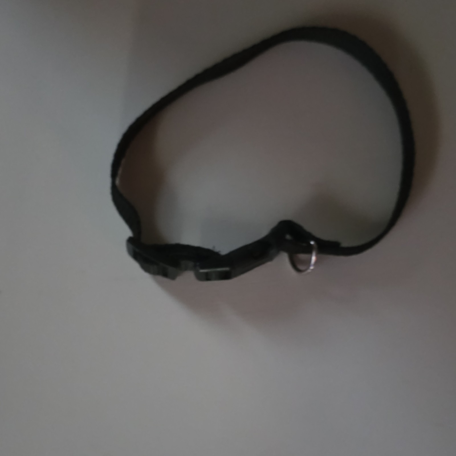 Adjustable Black Nylon Dog Collar with Plastic Buckle and Metal Ring