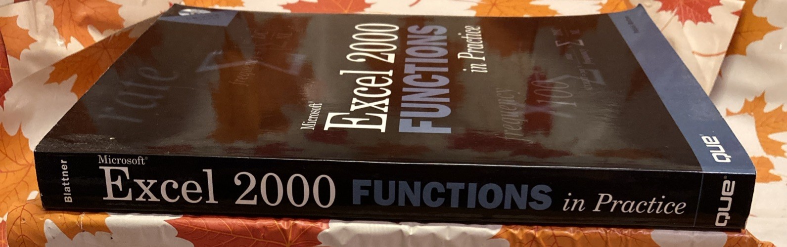 Microsoft Excel 2000 Functions In Practice With CD