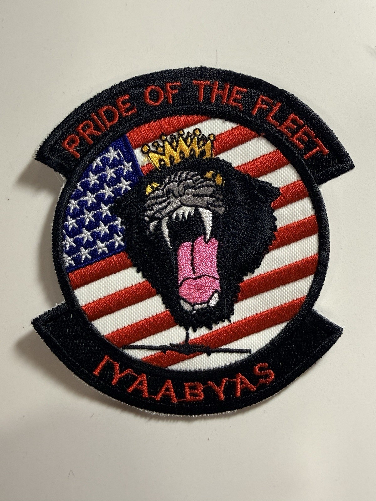 Original USAF 5th Reconnaissance Squadron (5 RS) "Pride of the Fleet" Patch