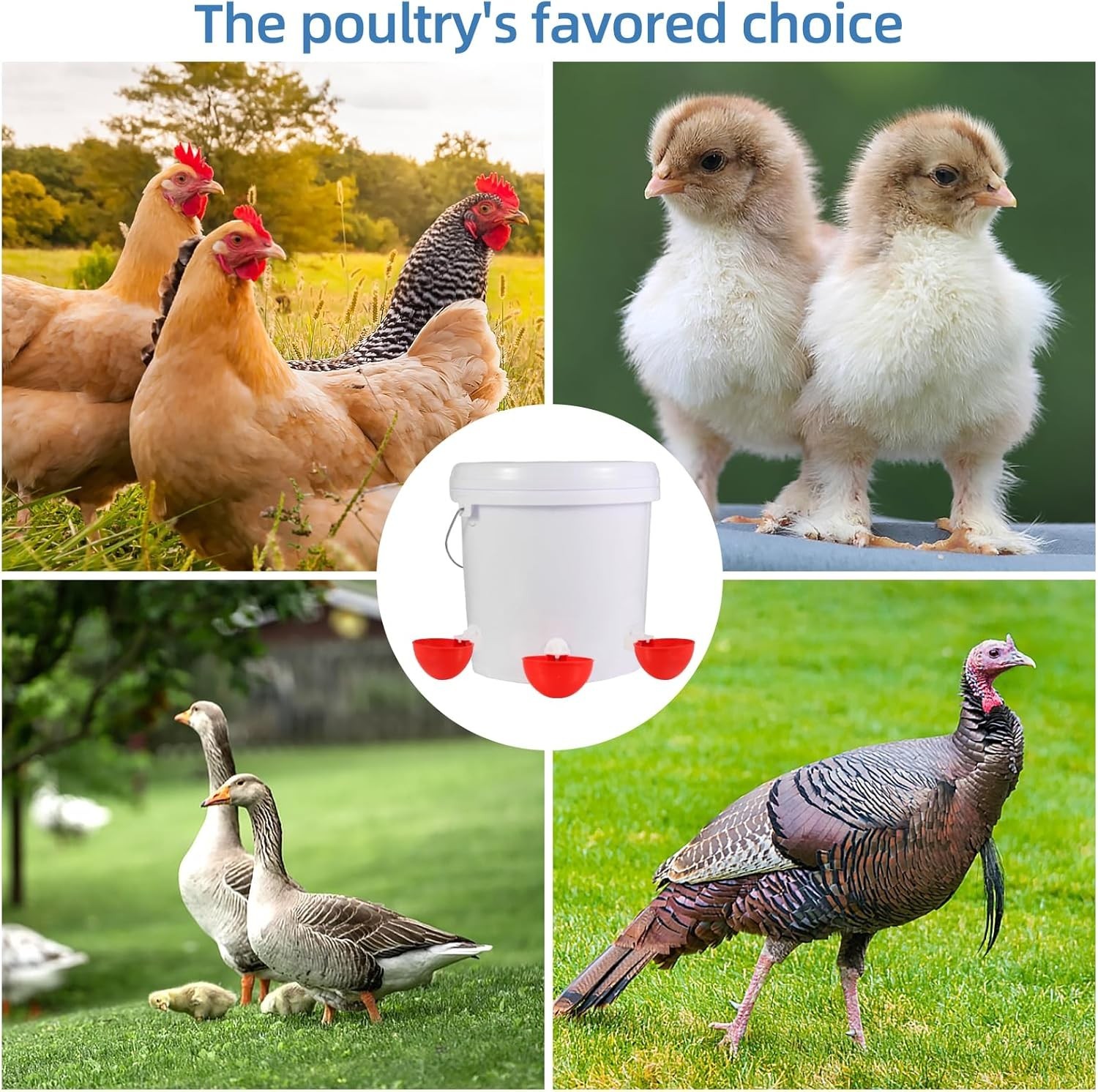 Automatic Chicken Waterer Cups,10 Pack Large Chicken Water Feeder Universal Tee