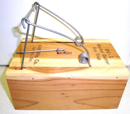 Death Klutch Wood Gopher Trap - Model DK-2 for Trapping Gopher Pests Control