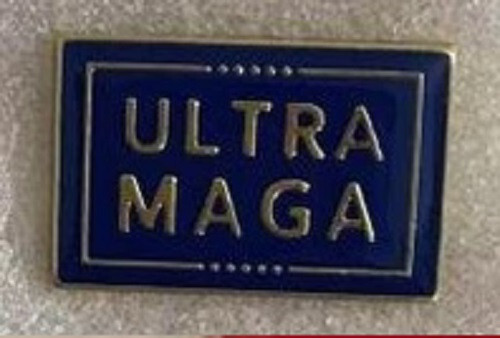 Trump WON 2024 ULTRA MAGA BLUE RECTANGLE Lapel Hat Pin Tie Tac FAST USA X1