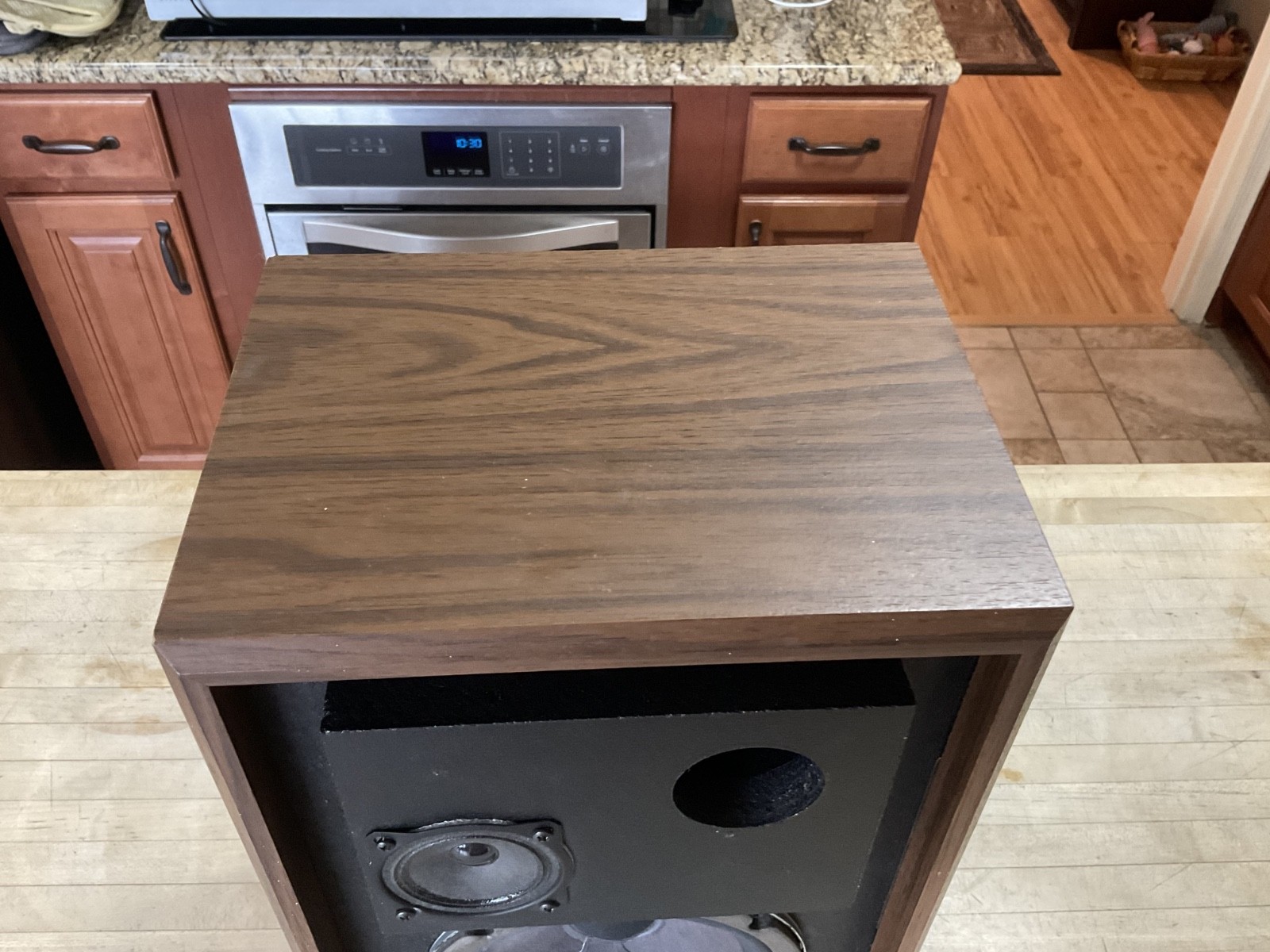 August Systems Grafyx SP-6 Single Speaker, Working, Video
