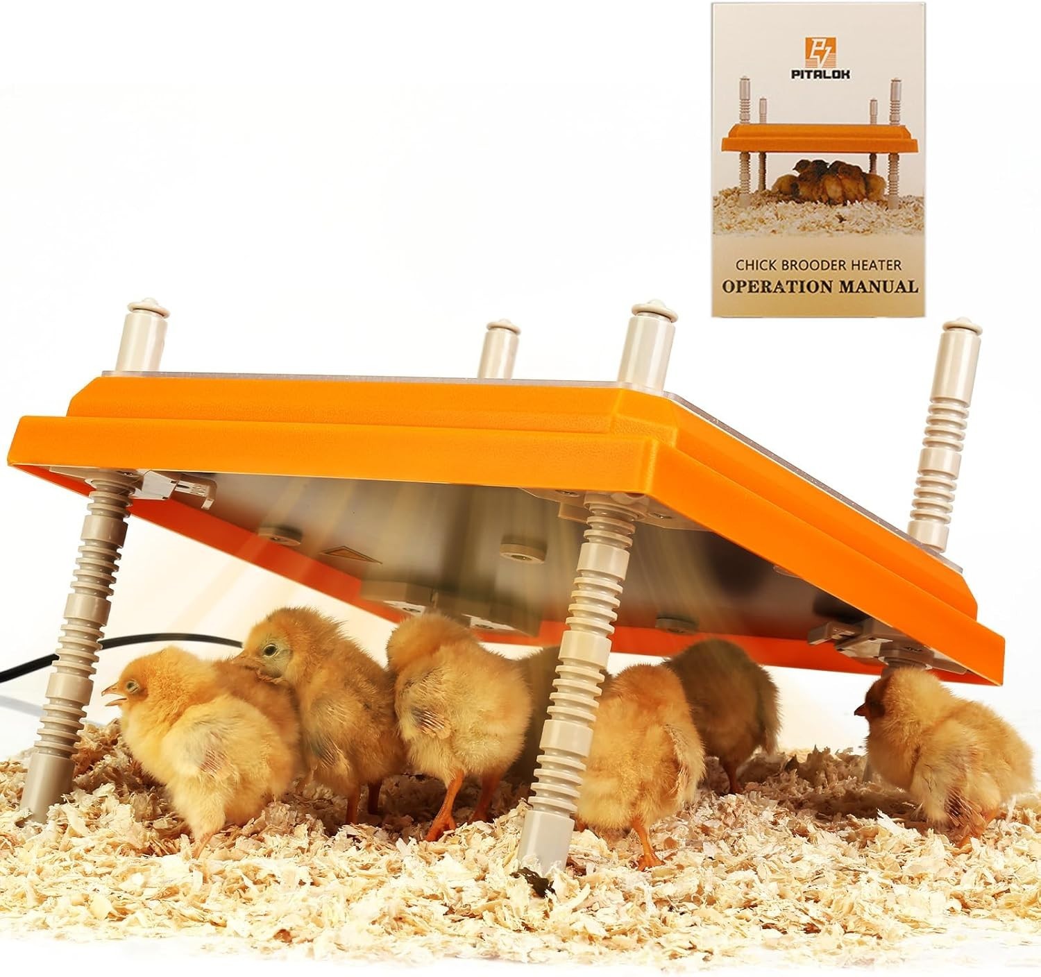 Electric Heating Plate for Chicks with Multiple Height Options and Insulation