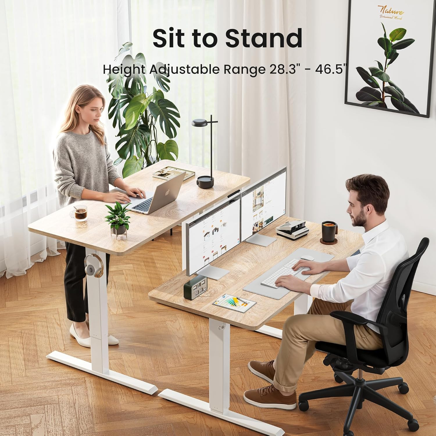 Electric Adjustable Standing Desk 48"x24" - White Frame & Maple Top