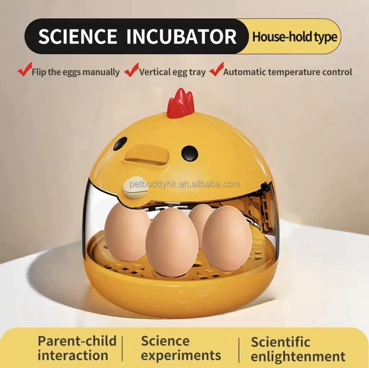 Incubator for Hatching Eggs-4 Egg Capacity Temperature Control, 360° Viewing