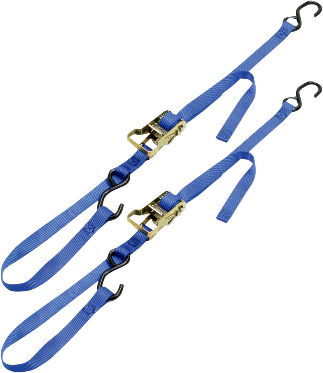 ANCRA 49498-12 1 Inch Integra Rat Pak Tie-Downs Blue 6 Feet