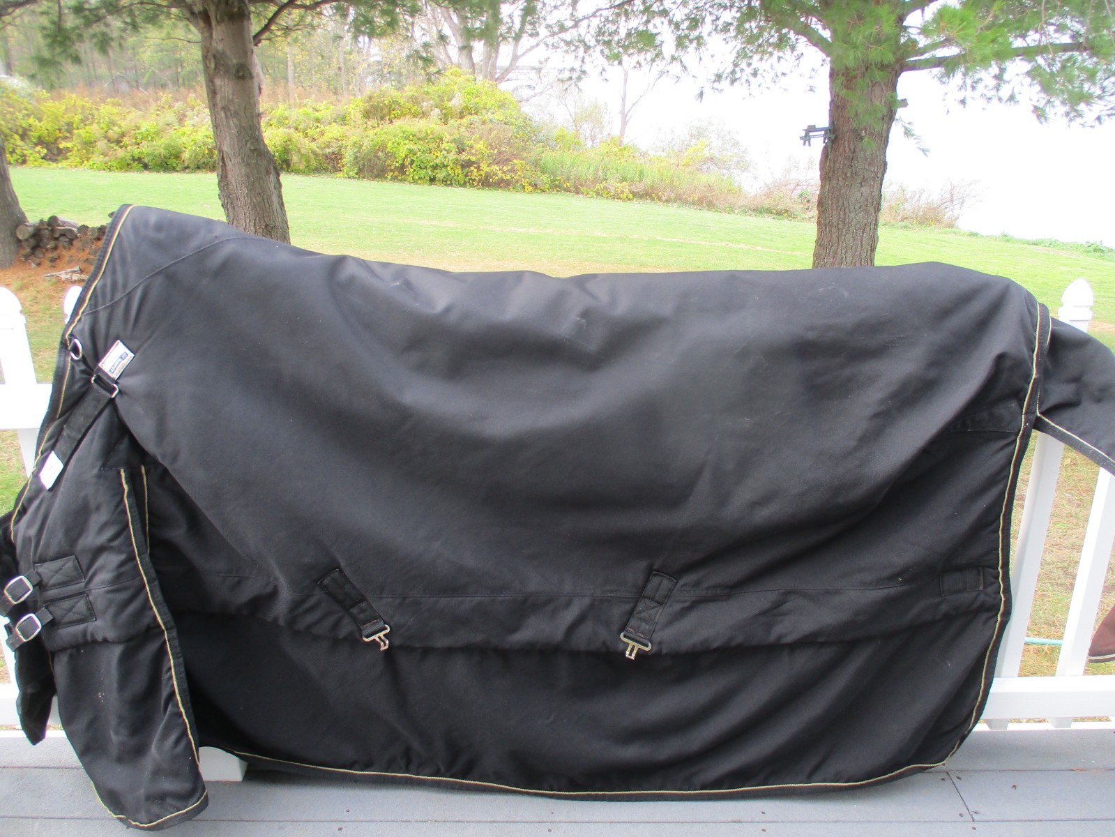 82" schneiders stormshied adjustafit  black 1200D MED WEIGHT V FREE T/0  BLANKET