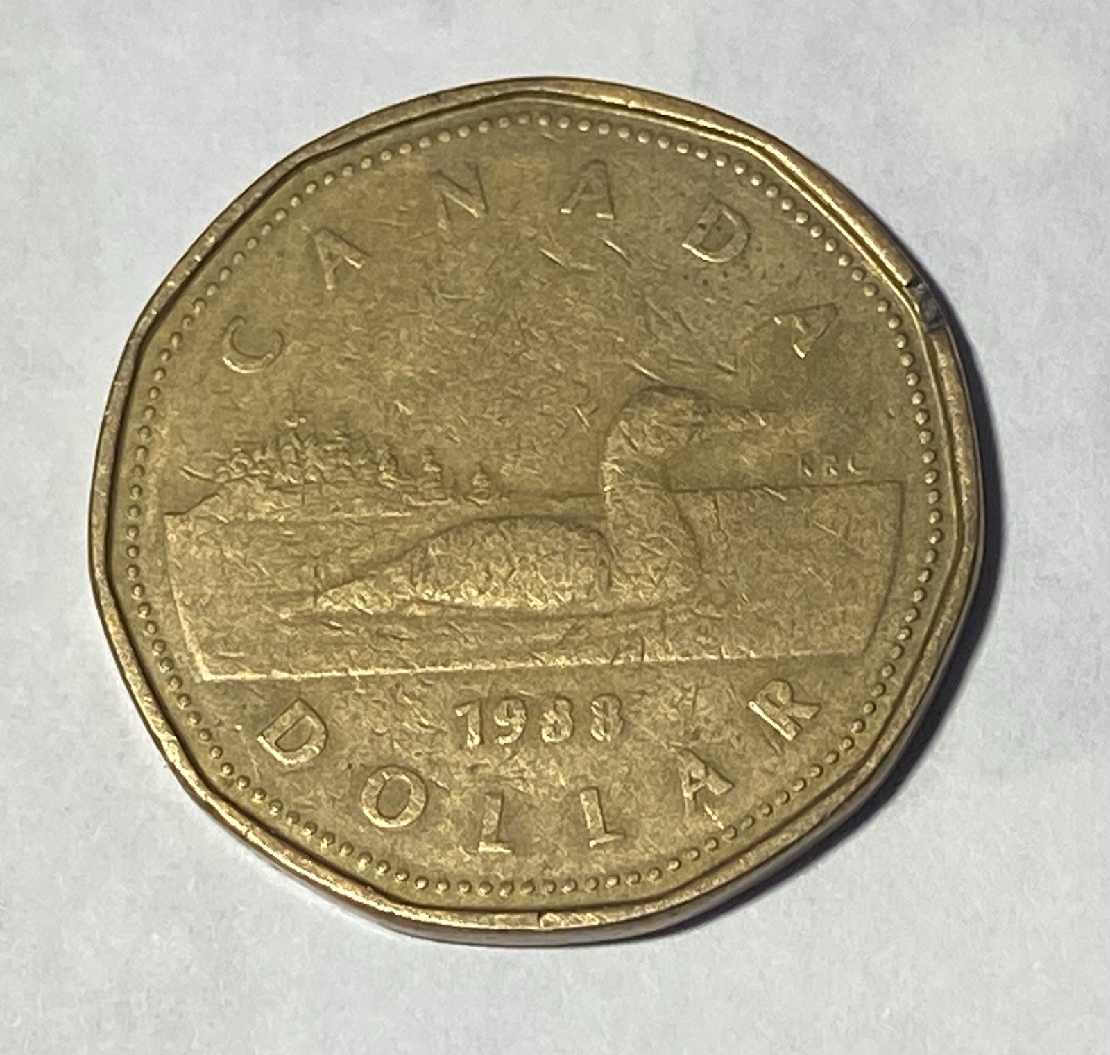 1988 Canadian Dollar coin, circulated, uncertified, very good condition