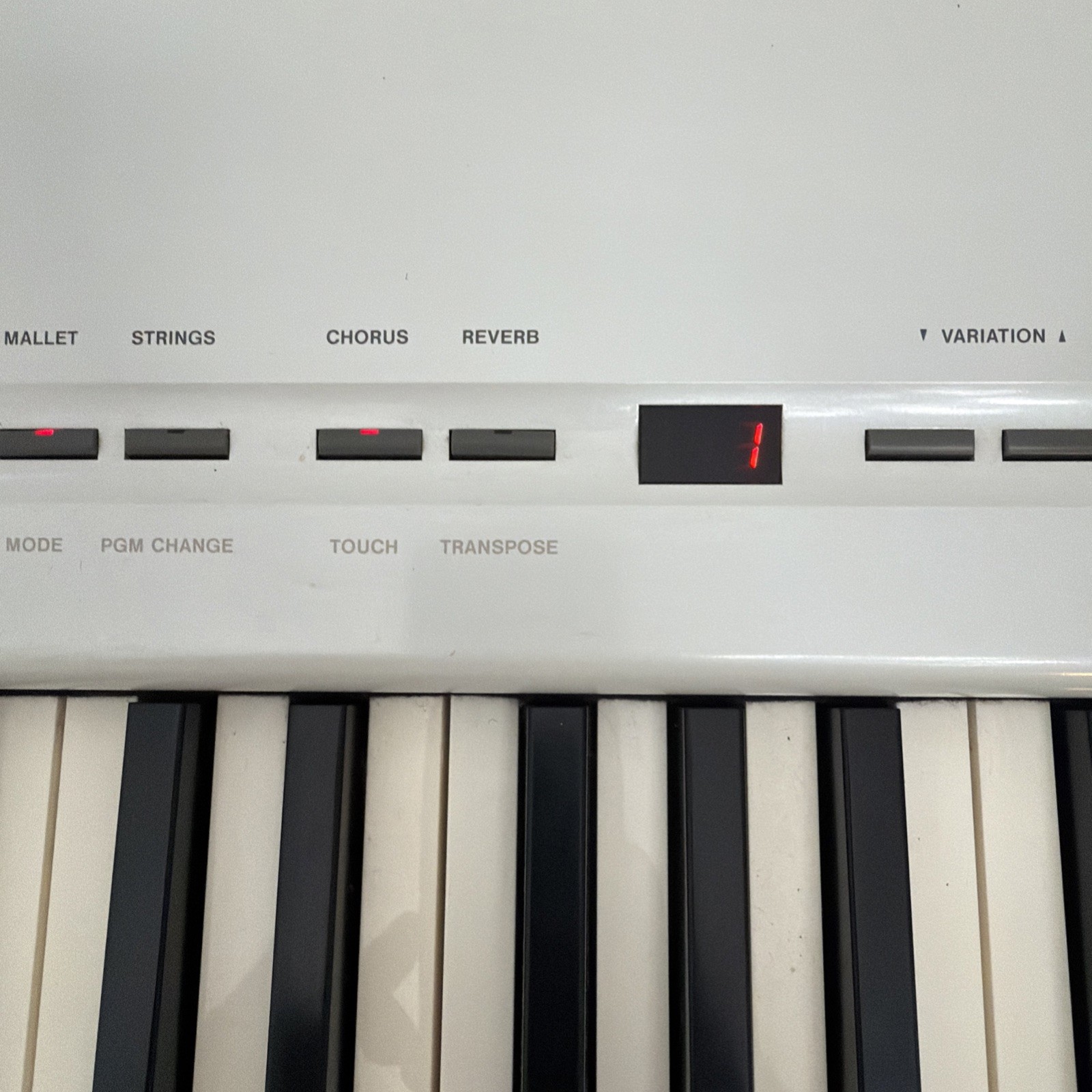 Roland FP-8 Digital Piano 88 Key