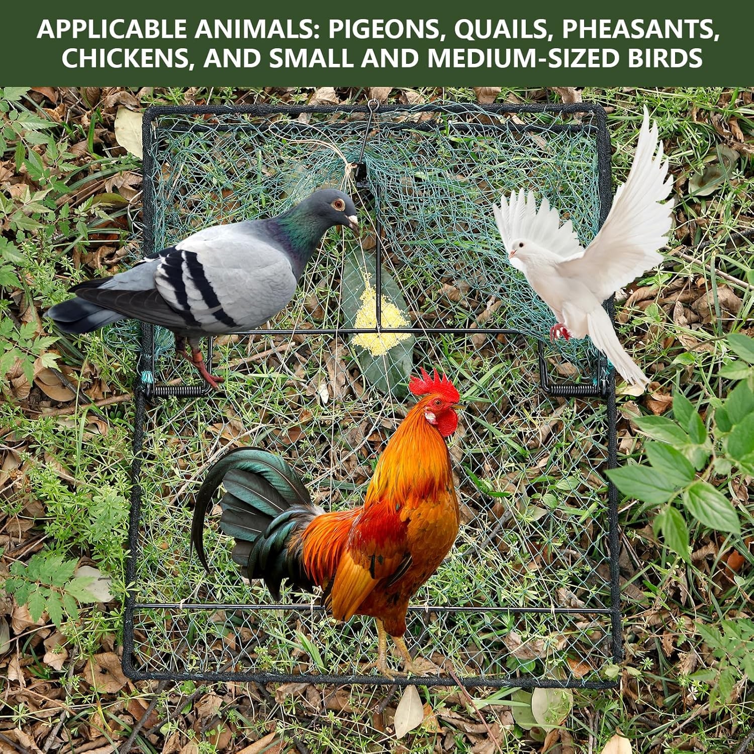 Humane Pigeon Trap,Bird Trap for Quail,Turkey,Net Traps (19.7x23.6 inch)