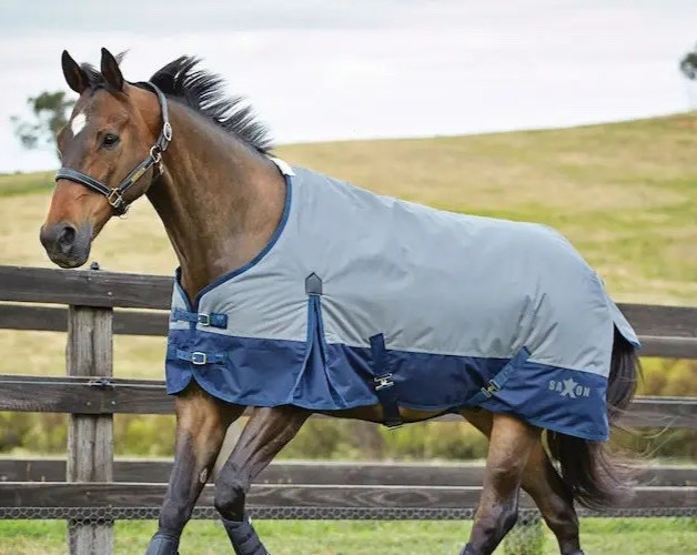600d  54" Saxon gray/navy blue medium weight  waterproof turnout blanket