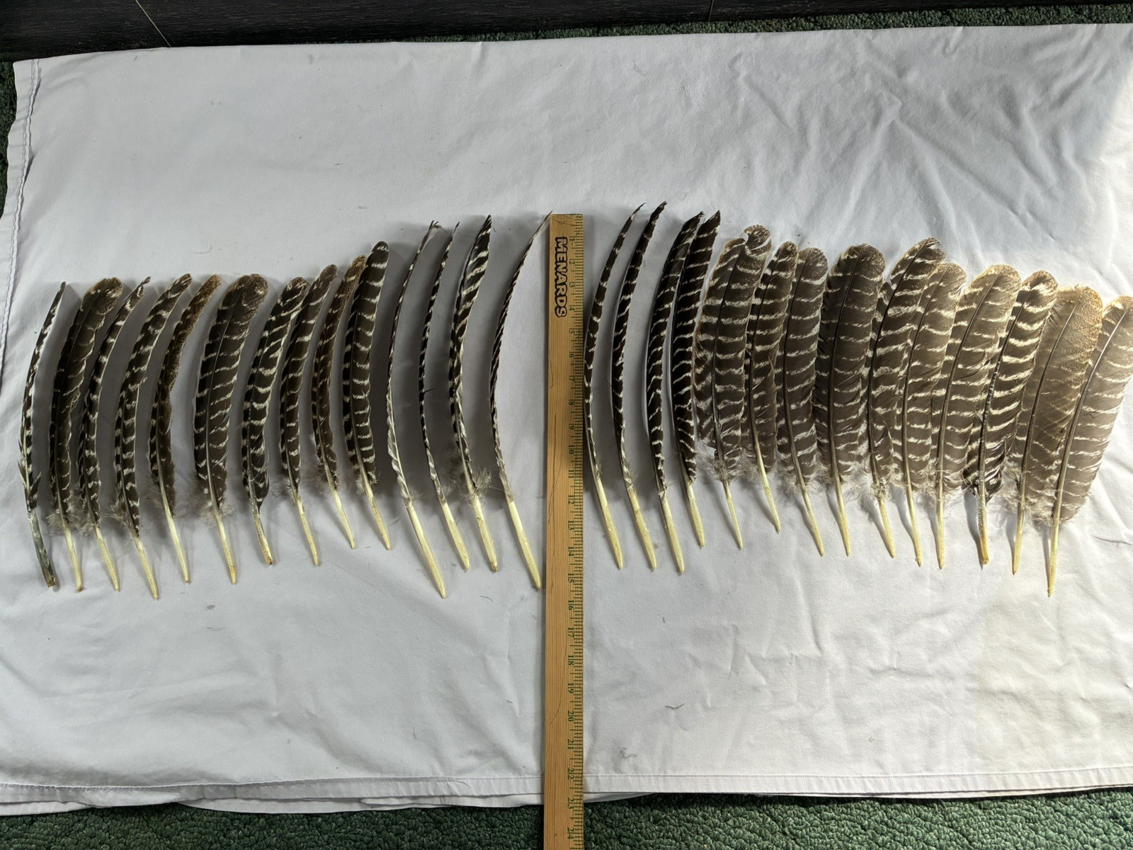 28 Wild Eastern Turkey Right Wing Primary Feathers Fletching Arts Crafts