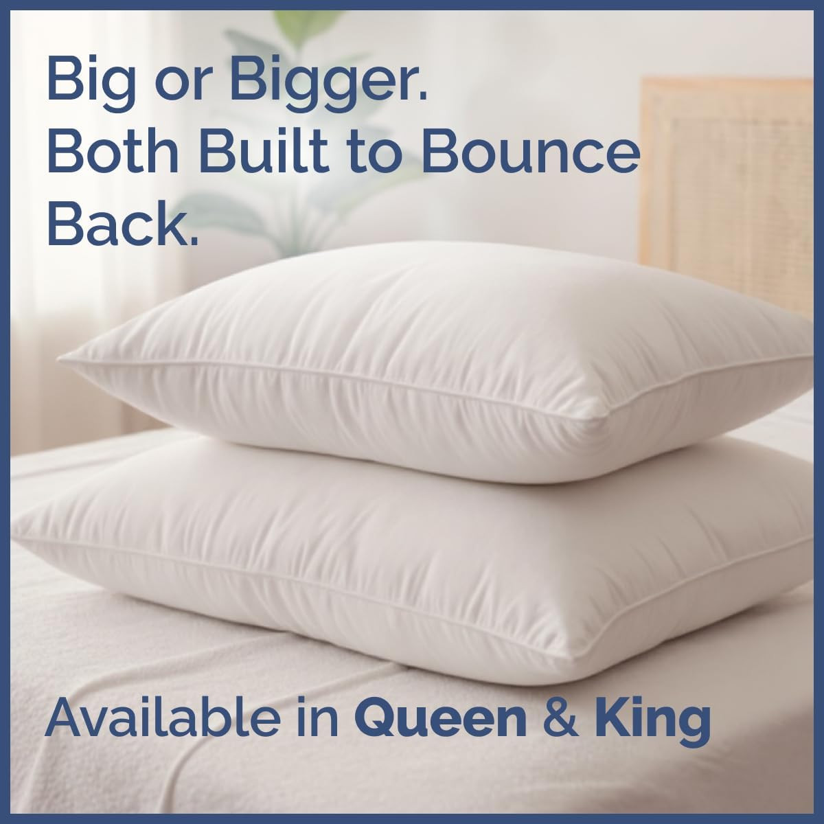Twin Sheet Set & 2 Queen Cotton Bed Pillows - 3 Piece Set