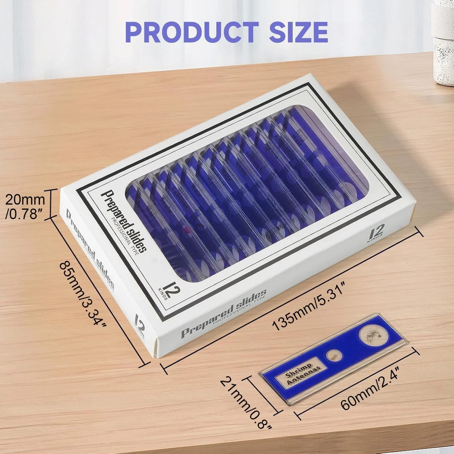 48 Pcs Prepared Microscope Slides Specimen Animals Insects Plants Flowers Sample