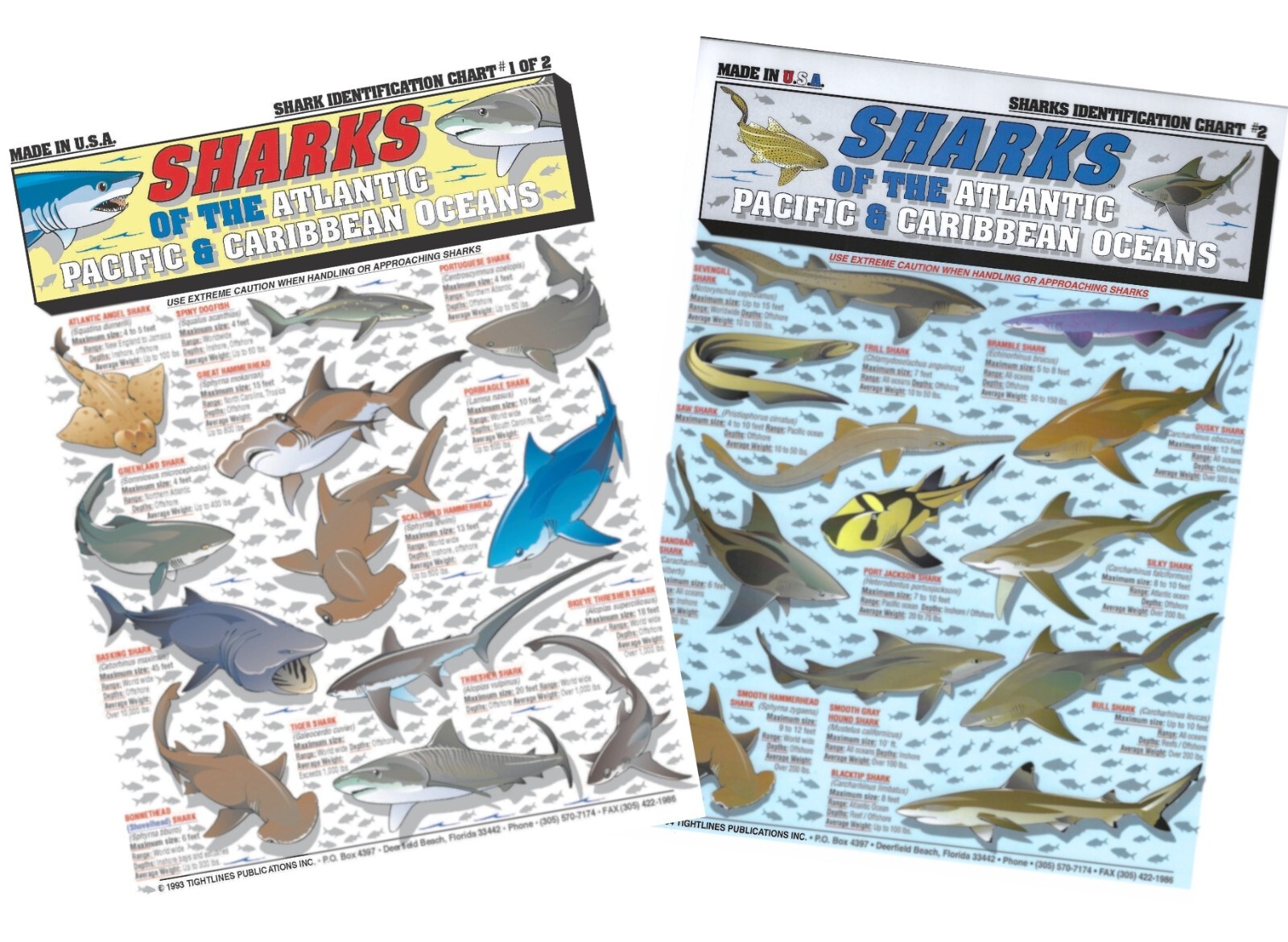 Shark Identification Set - Waterproof Quick Reference Guide