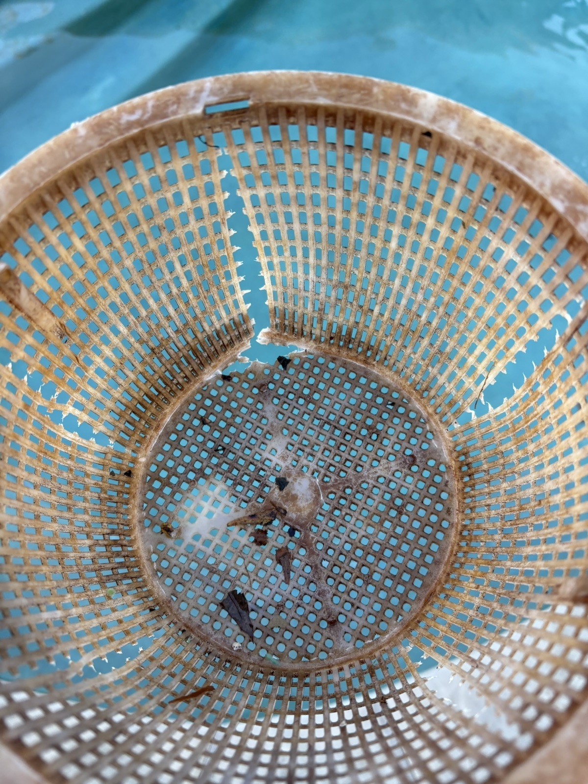 Extremely Heavy Duty!! Stainless Steel Pool Skimmer Basket