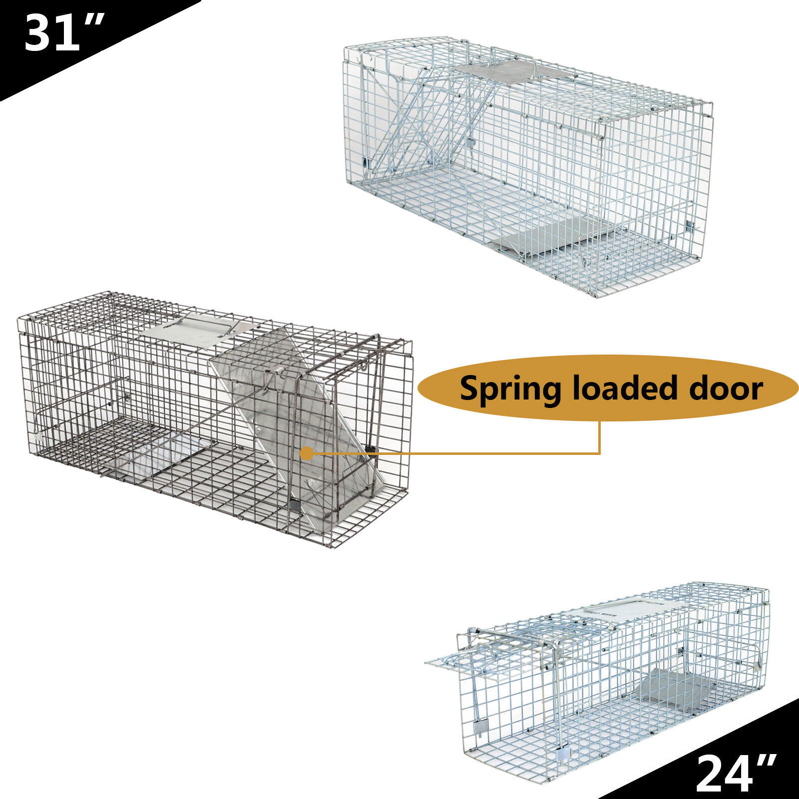 24/32 Inch Humane Live Animal Trap - Steel Rodent Control for Rabbit Raccoon